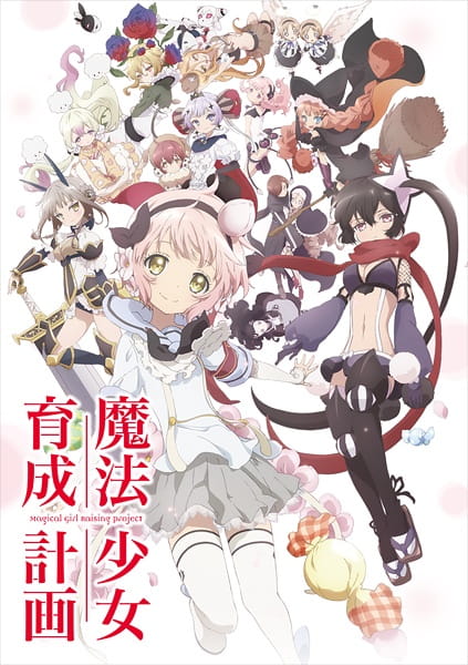 Mahou Shoujo Ikusei Keikaku ตอนที่ 1-12 จบ ซับไทย